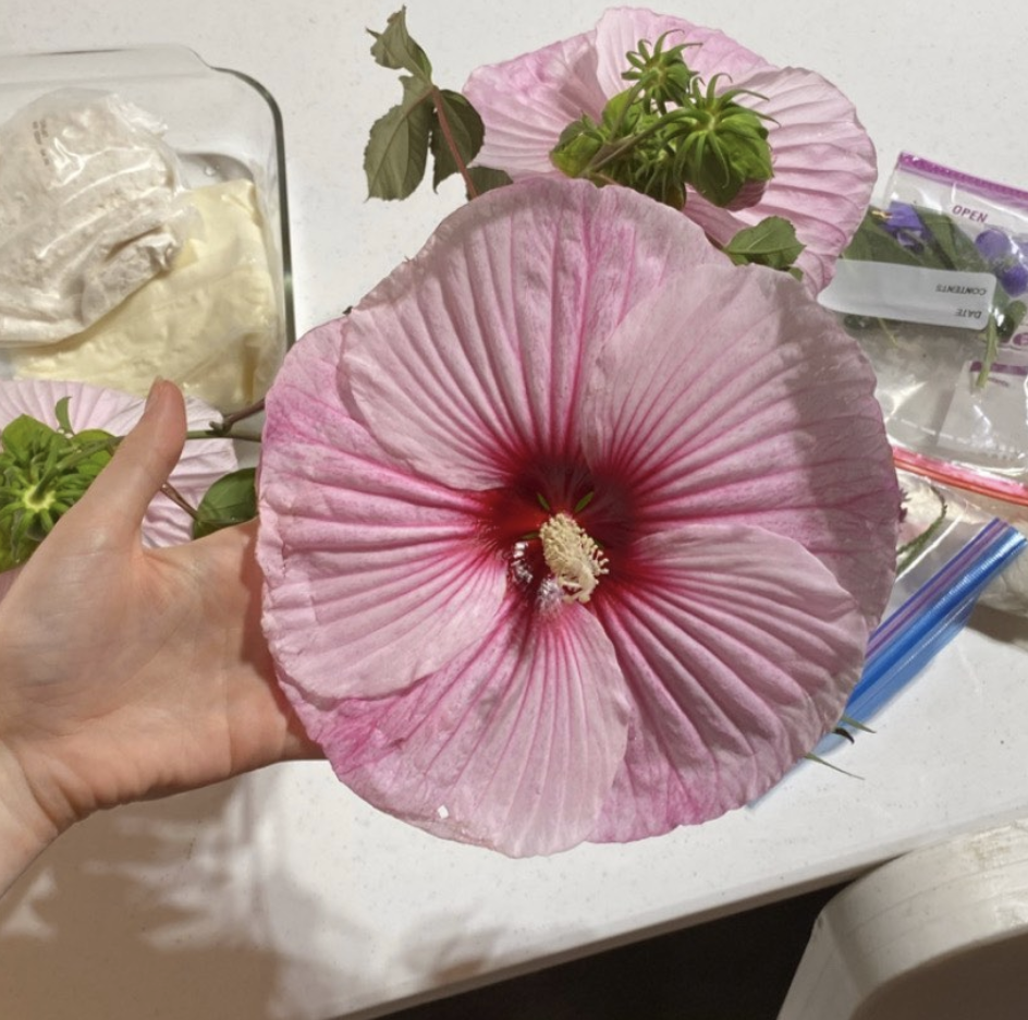 Flower at the center of the shrine.