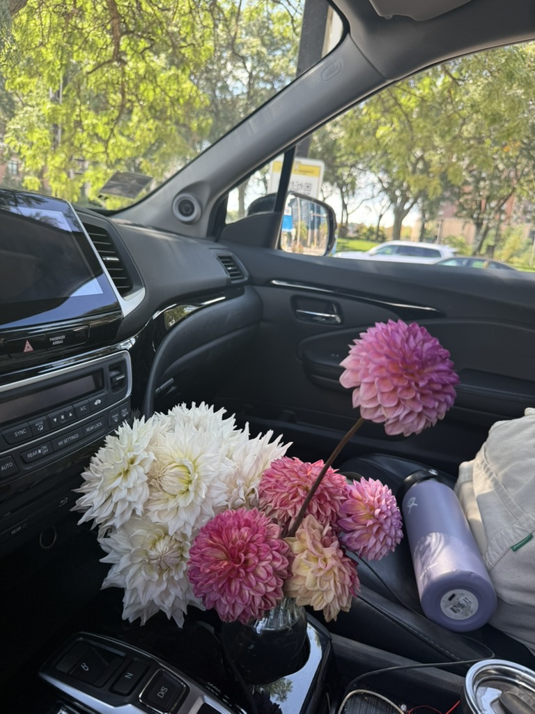dahlias in the passenger seat