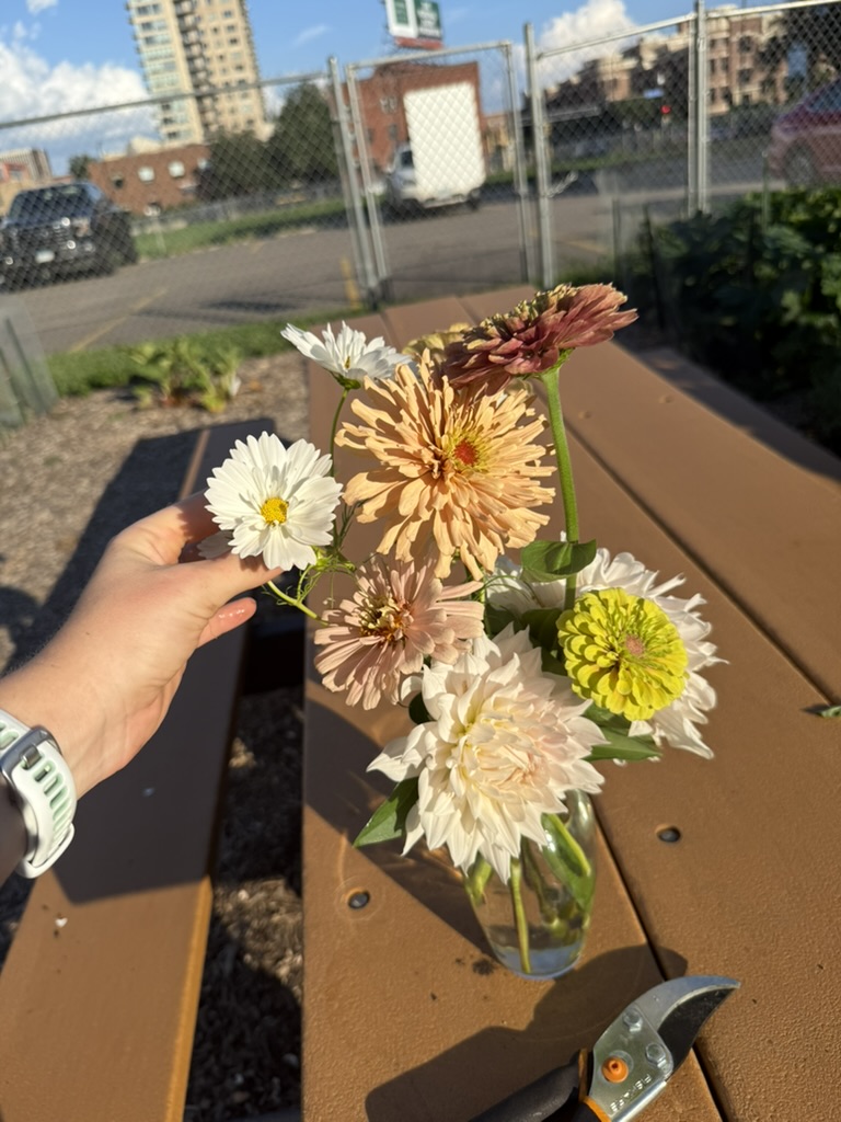 fresh-cut flowers on a garden bench