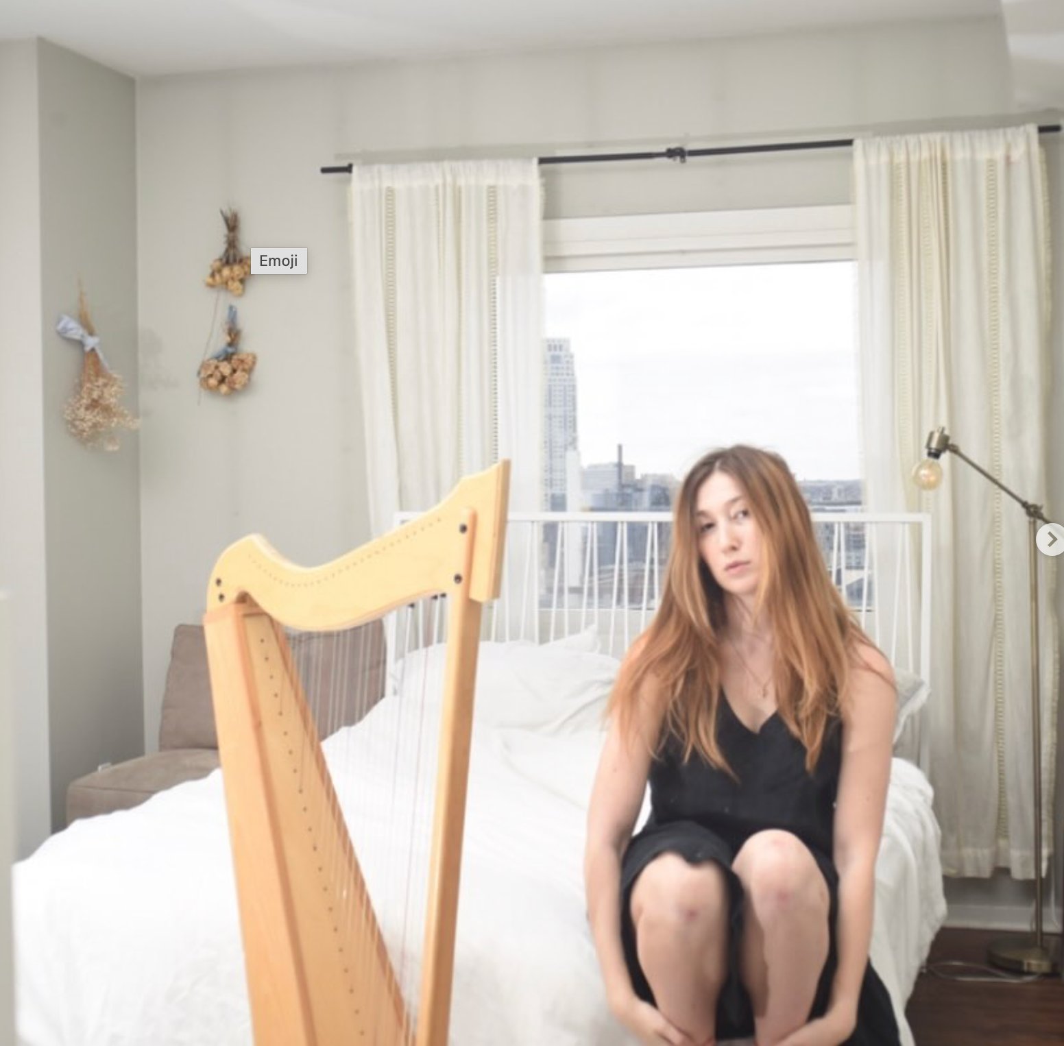 a lever harp by a sunlit window